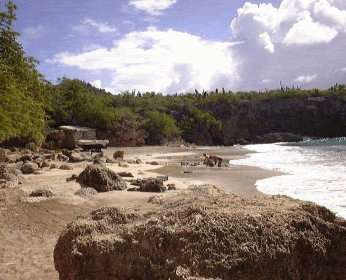 Bucht